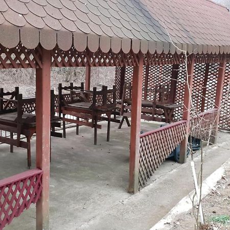 Pensiunea Lucica Sacelu Exterior photo