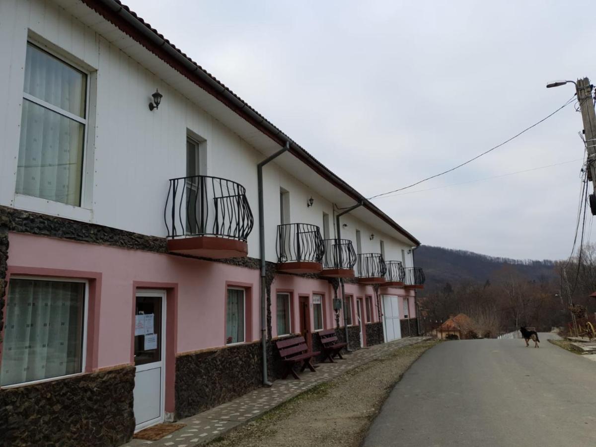 Pensiunea Lucica Sacelu Exterior photo